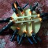 Редкая Емельяновская 29-ладовая домра