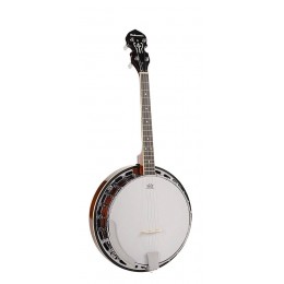 Банджо RICHWOOD RMB-604-SS