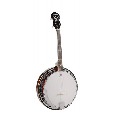 Банджо RICHWOOD RMB-604-SS